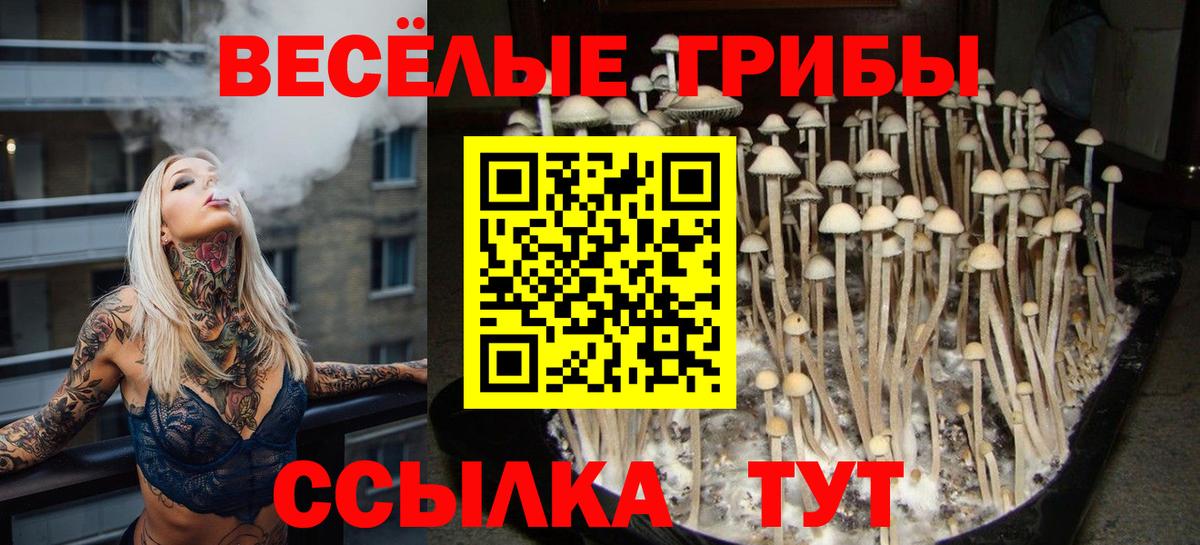 Псилоцибиновые грибы Psilocybine cubensis  Галлюциногенные грибы GOLDEN TEACHER  Вход с VPN  Алатырь 