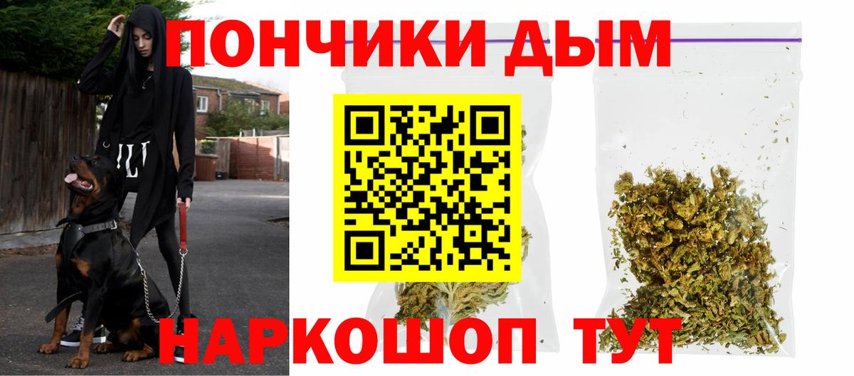 Каннабис сатива Алатырь
