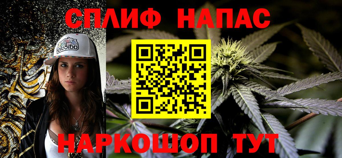 Бошки марихуана семена  Марихуана семена  Вход с VPN  Алатырь  Бошки Шишки VHQ 
